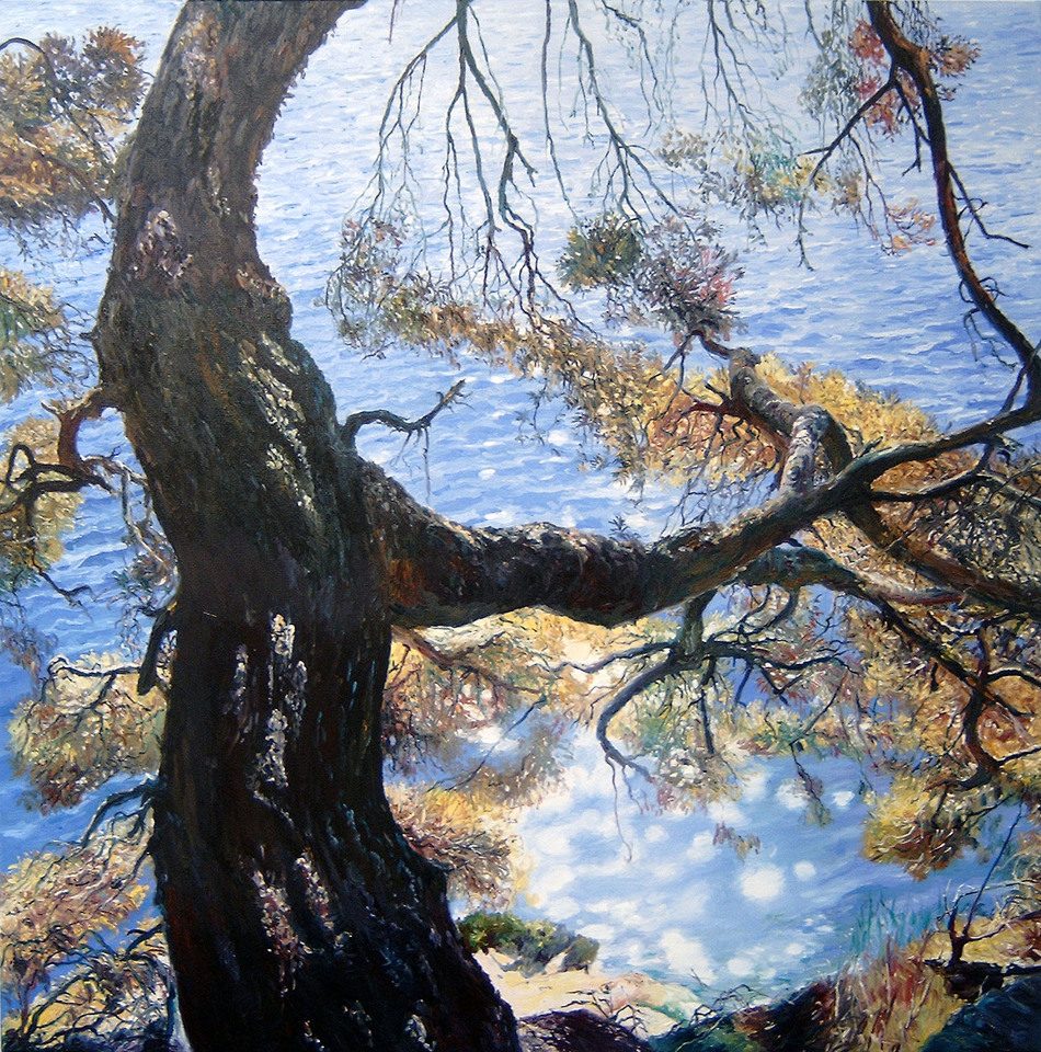 WVZ 1656 "Kiefer, Wasser, Licht"; Öl auf Leinwand 100 x 100 cm (verkauft)