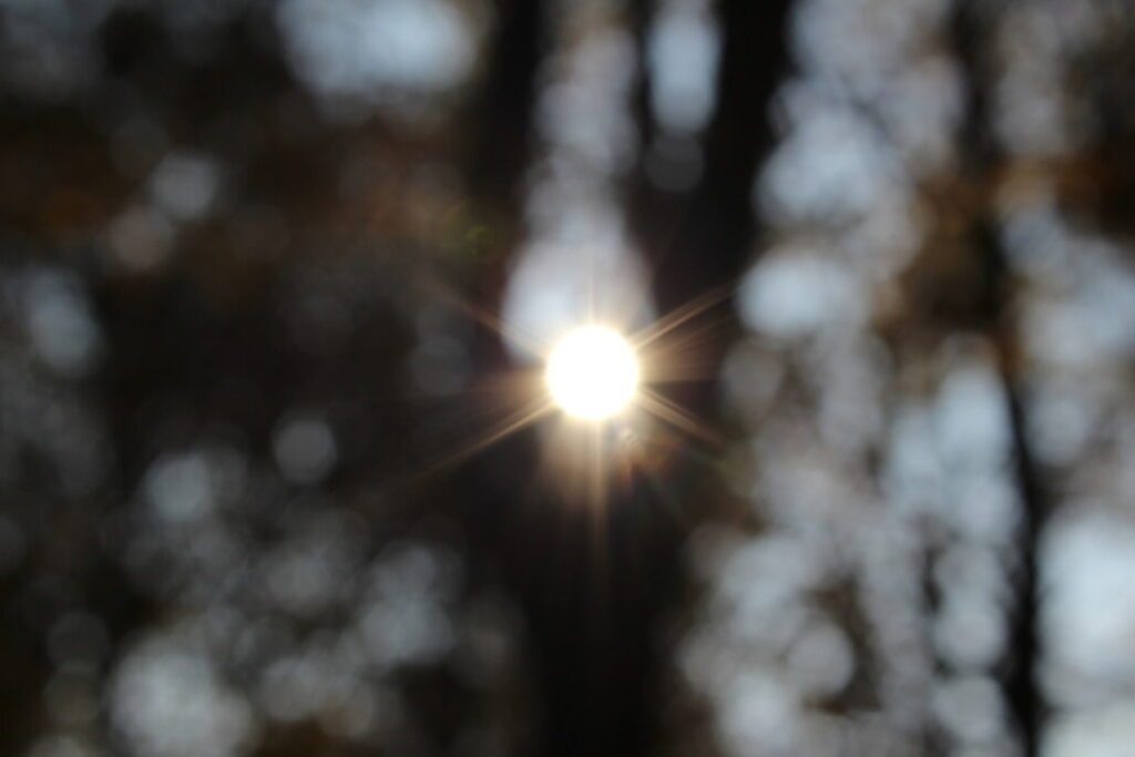 Sonne, Digitalfotografie aus 2017, vom Atelier im Reutzelswäldchen aufgenommen.